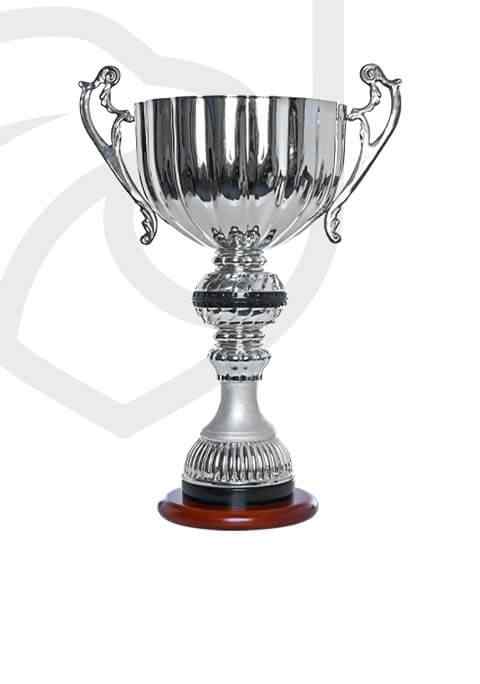 https://dxvolleyball.com/wp-content/uploads/2022/11/trophy_overlay_01.jpg