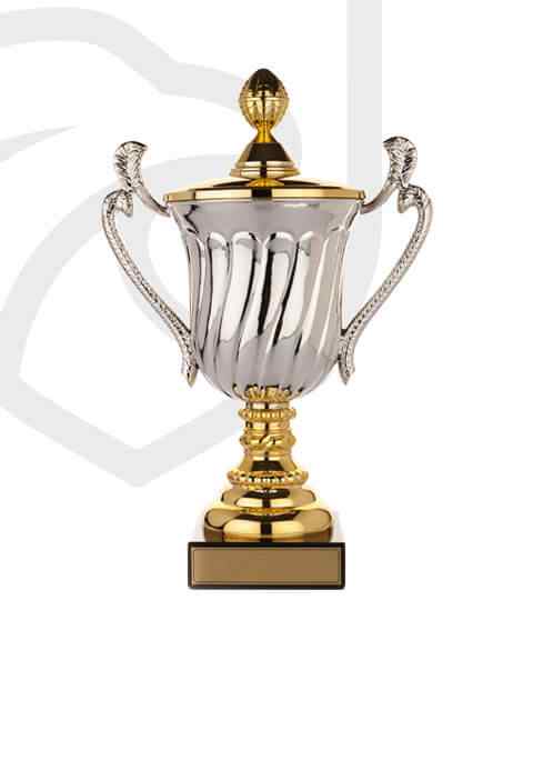 https://dxvolleyball.com/wp-content/uploads/2022/11/trophy_overlay_02.jpg
