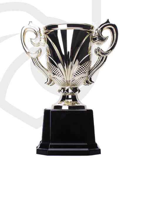 https://dxvolleyball.com/wp-content/uploads/2022/11/trophy_overlay_04.jpg